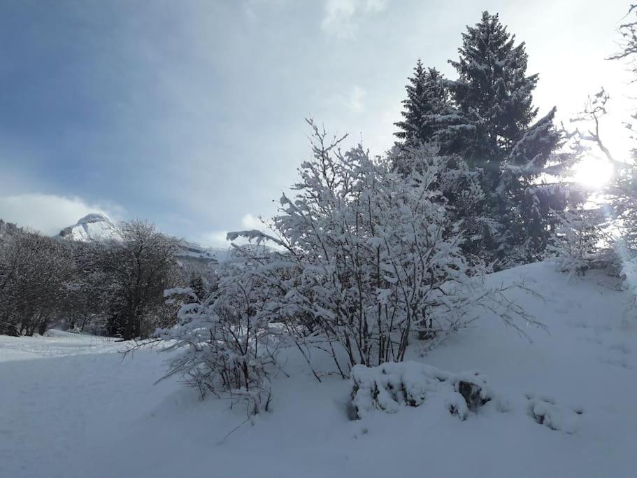 Duplex 59M2 - Proche Centre - Balcon Plein Sud Corrençon-en-Vercors Exterior foto